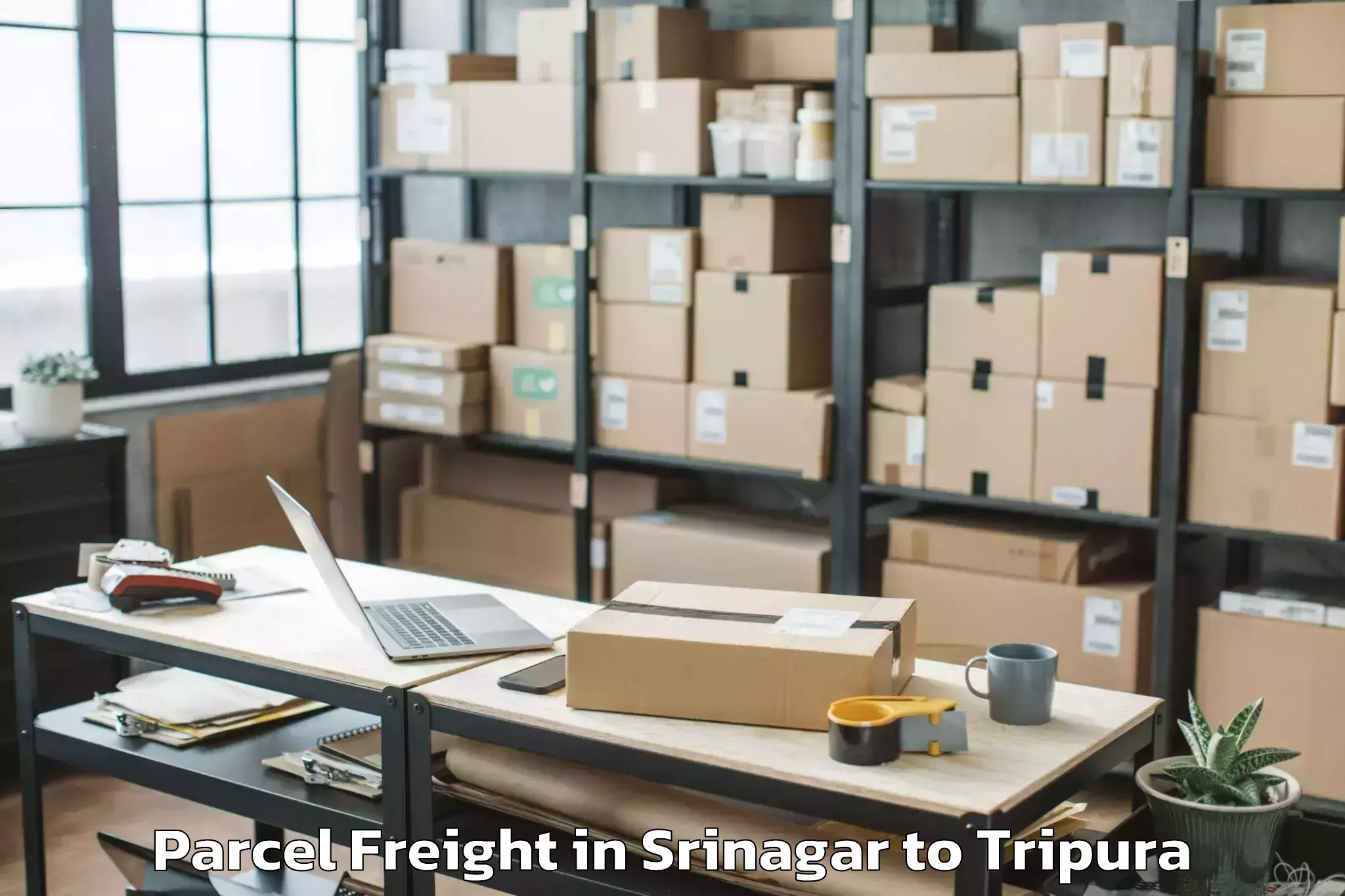 Comprehensive Srinagar to Teliamura Parcel Freight